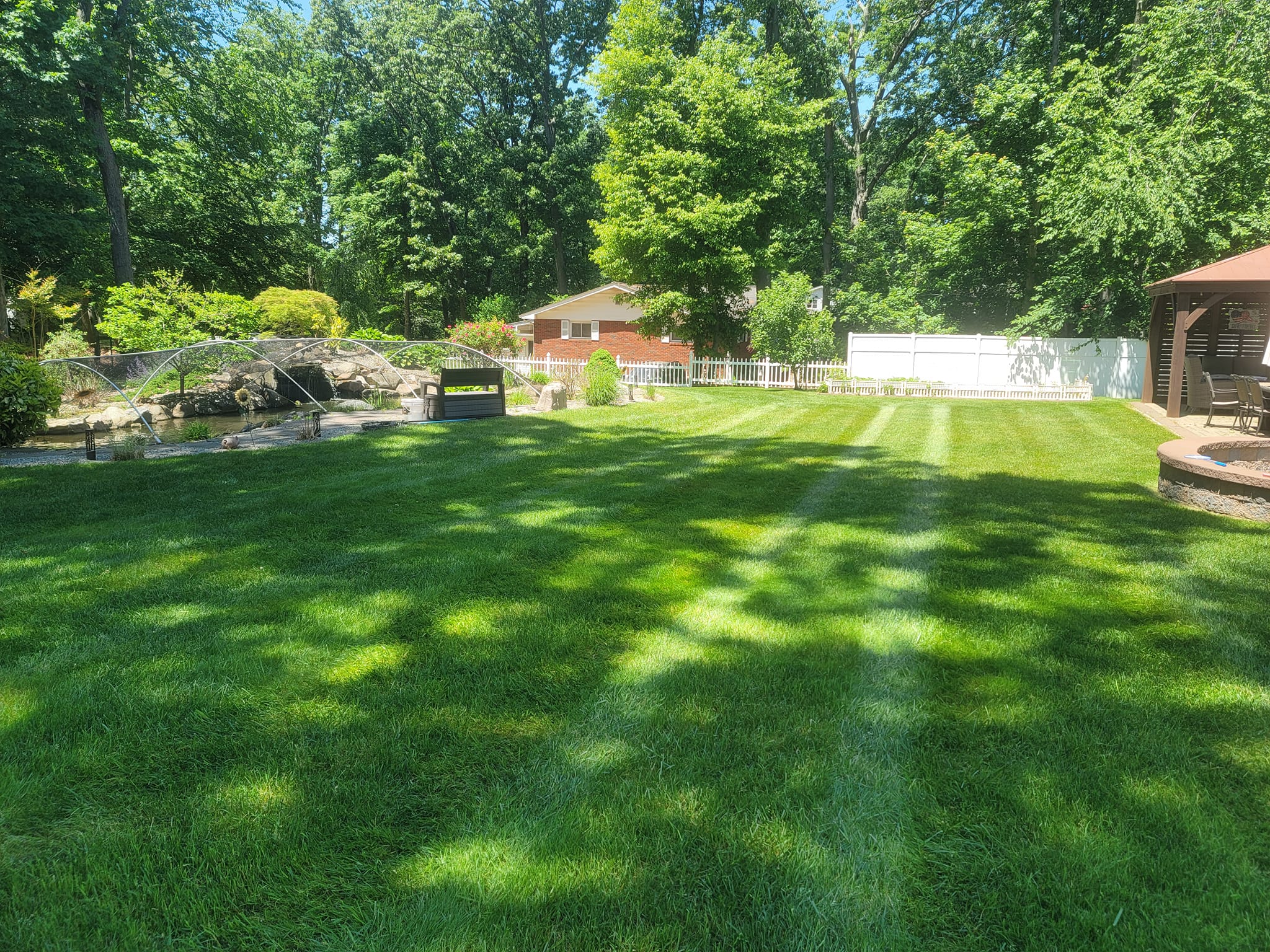 A freshly cut lawn