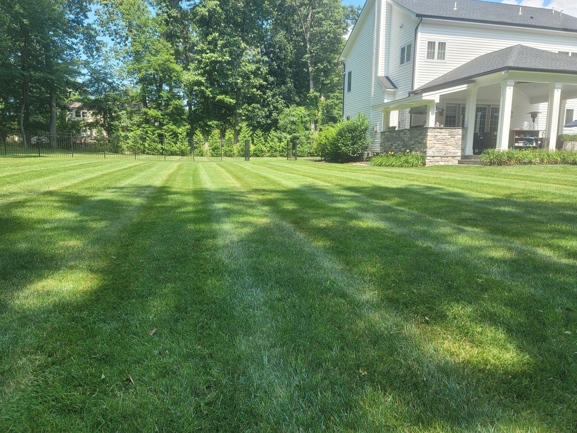 A freshly cut lawn