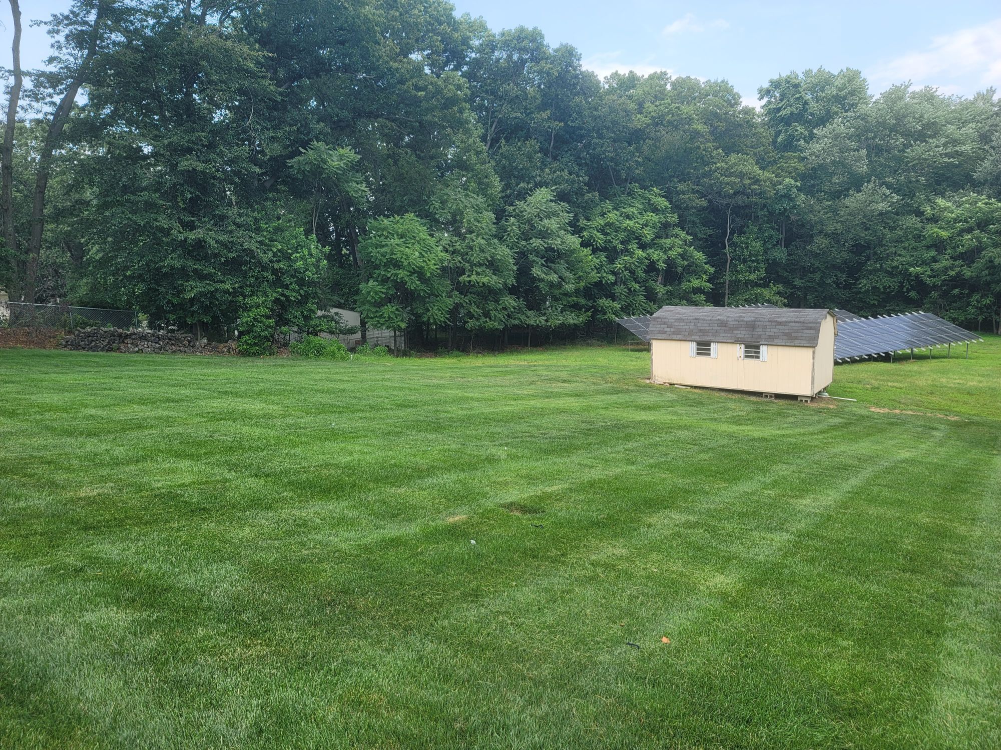 A freshly cut lawn